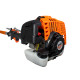 Emondor ruris r10