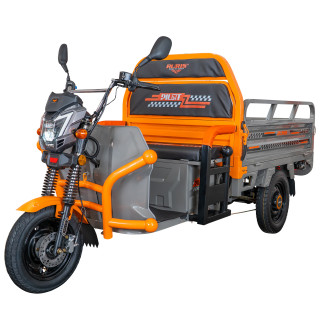 RURIS PILOT 3120G e-trojkolka nákladná šedá